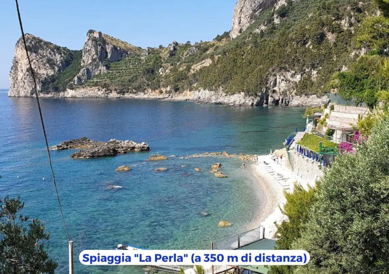 Siren Land - Marina Del Cantone ネラノ エクステリア 写真